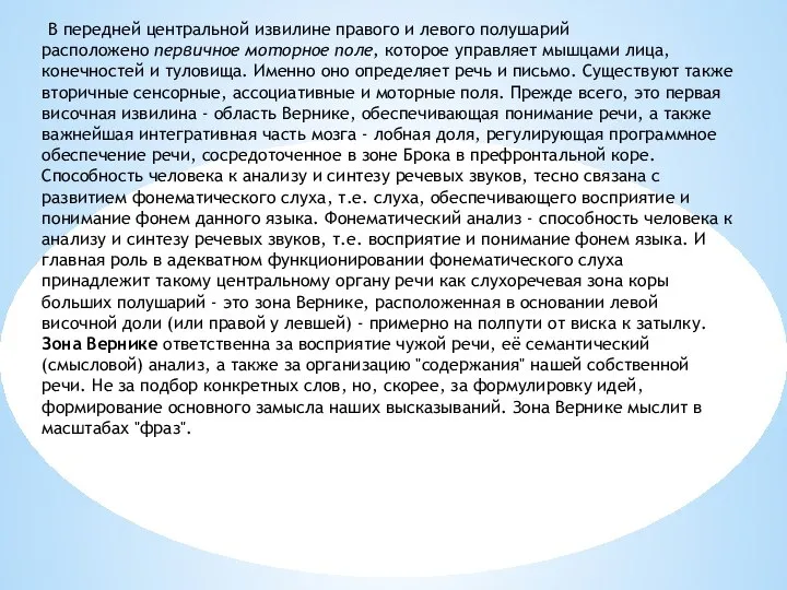 В передней центральной извилине правого и левого полушарий расположено первичное моторное поле,