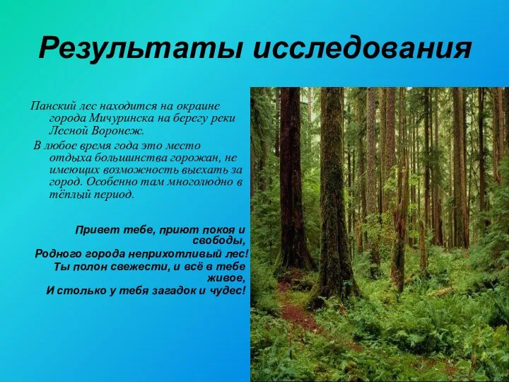 Результаты исследования Панский лес находится на окраине города Мичуринска на берегу реки