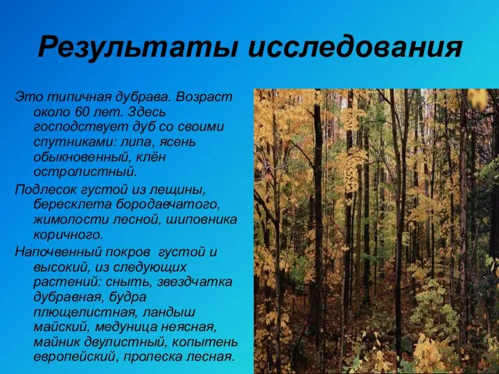 Результаты исследования Это типичная дубрава. Возраст около 60 лет. Здесь господствует дуб