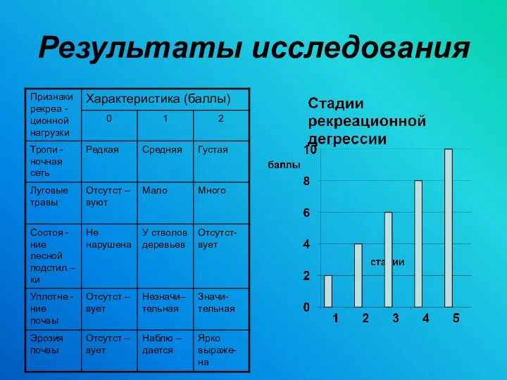 Результаты исследования