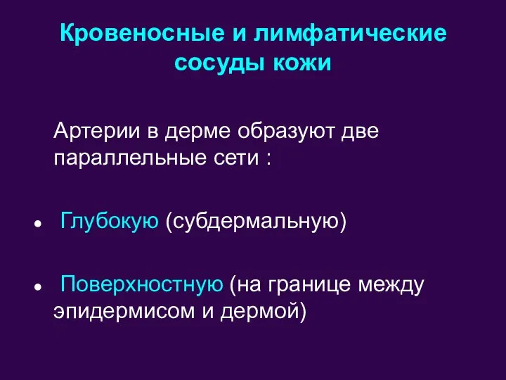 Кровеносные и лимфатические сосуды кожи Артерии в дерме образуют две параллельные сети