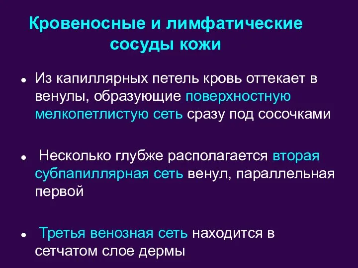 Из капиллярных петель кровь оттекает в венулы, образующие поверхностную мелкопетлистую сеть сразу