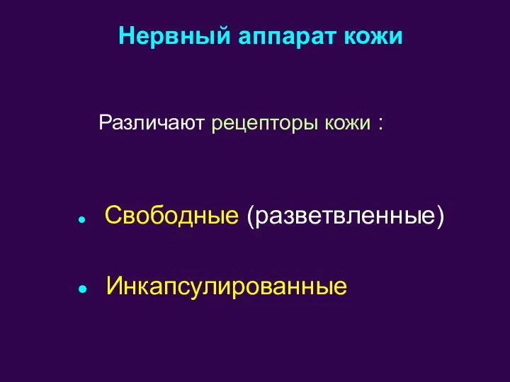 Различают рецепторы кожи : Свободные (разветвленные) Инкапсулированные Нервный аппарат кожи