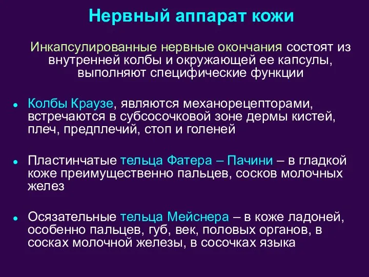 Инкапсулированные нервные окончания состоят из внутренней колбы и окружающей ее капсулы, выполняют