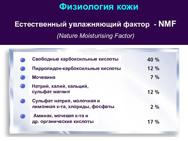 Физиология кожи Естественный увлажняющий фактор - NMF (Nature Moisturising Factor) Свободные карбоксильные