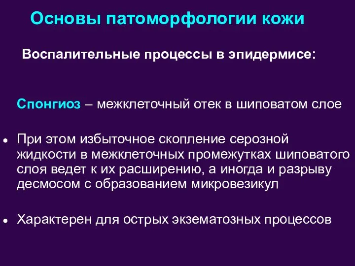 Основы патоморфологии кожи Спонгиоз – межклеточный отек в шиповатом слое При этом