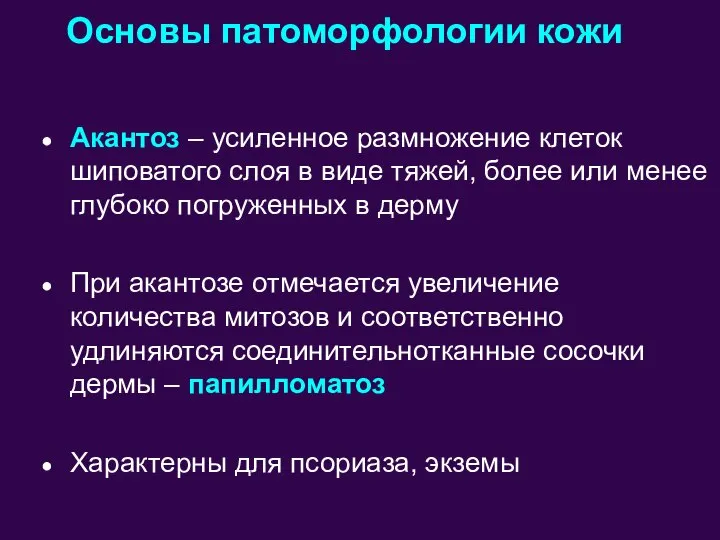 Основы патоморфологии кожи Акантоз – усиленное размножение клеток шиповатого слоя в виде