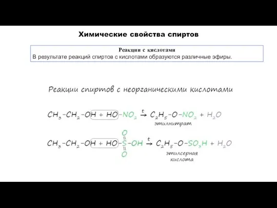 Реакции с кислотами В результате реакций спиртов с кислотами образуются различные эфиры.