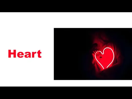 Heart