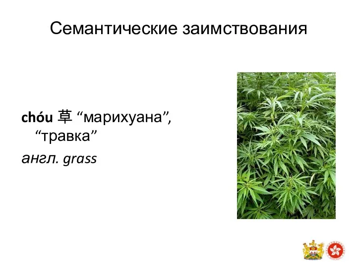 Семантические заимствования chóu 草 “марихуана”, “травка” англ. grass
