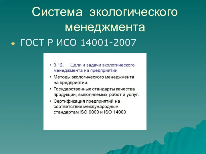 Система экологического менеджмента ГОСТ Р ИСО 14001-2007