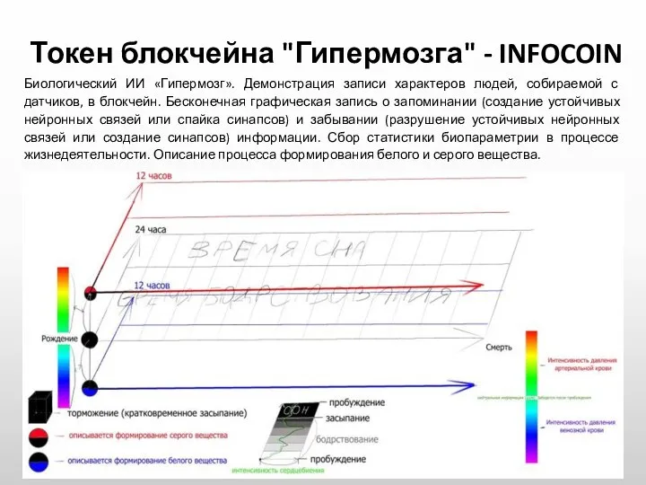 Токен блокчейна "Гипермозга" - INFOCOIN Биологический ИИ «Гипермозг». Демонстрация записи характеров людей,