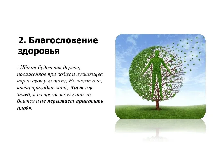 2. Благословение здоровья «Ибо он будет как дерево, посаженное при водах и