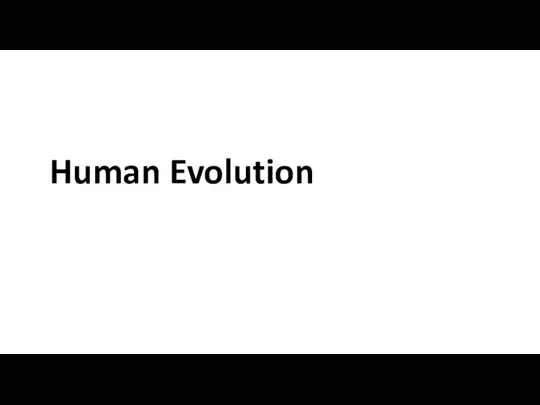 Human Evolution