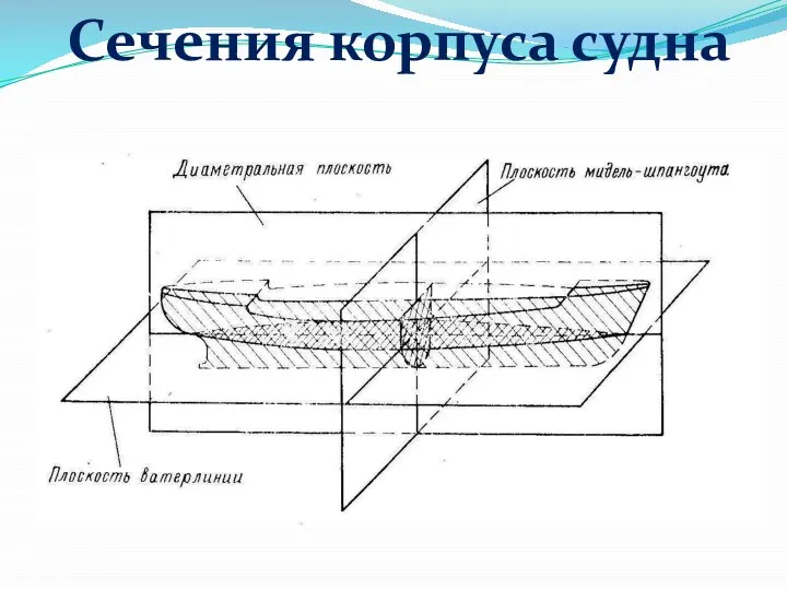 Сечения корпуса судна