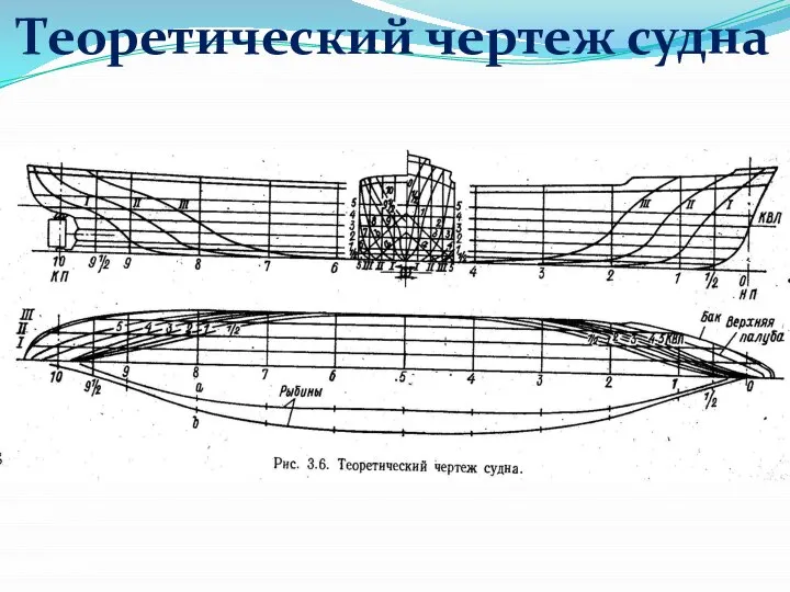 Теоретический чертеж судна