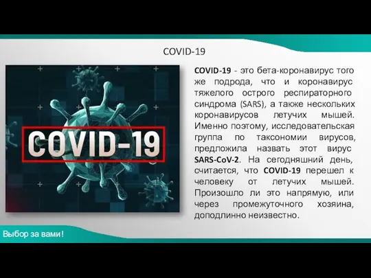 COVID-19 - это бета-коронавирус того же подрода, что и коронавирус тяжелого острого