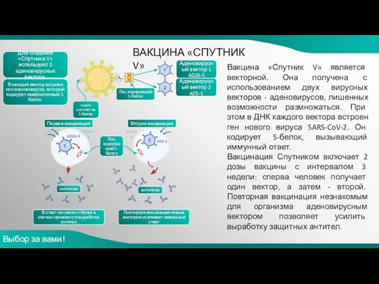 ВАКЦИНА «СПУТНИК V» Выбор за вами! Вакцина «Спутник V» является векторной. Она