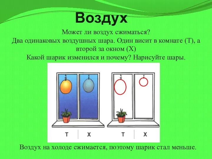 Воздух Может ли воздух сжиматься? Два одинаковых воздушных шара. Один висит в