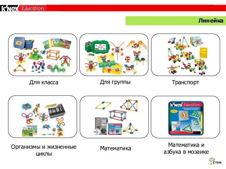 ПРЕВОСХОДЯ СТАНДАРТЫ Для класса Для группы Транспорт Организмы и жизненные циклы Математика