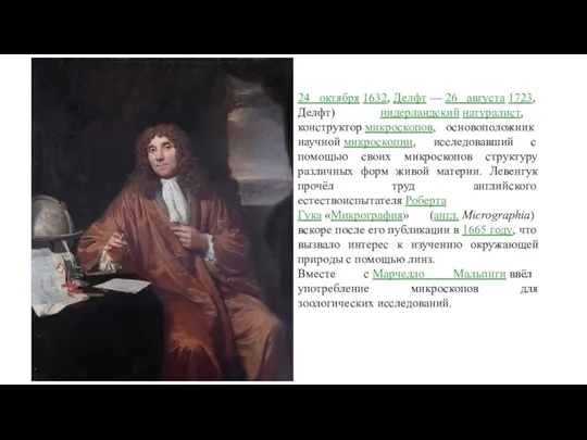 24 октября 1632, Делфт — 26 августа 1723, Делфт) нидерландский натуралист, конструктор