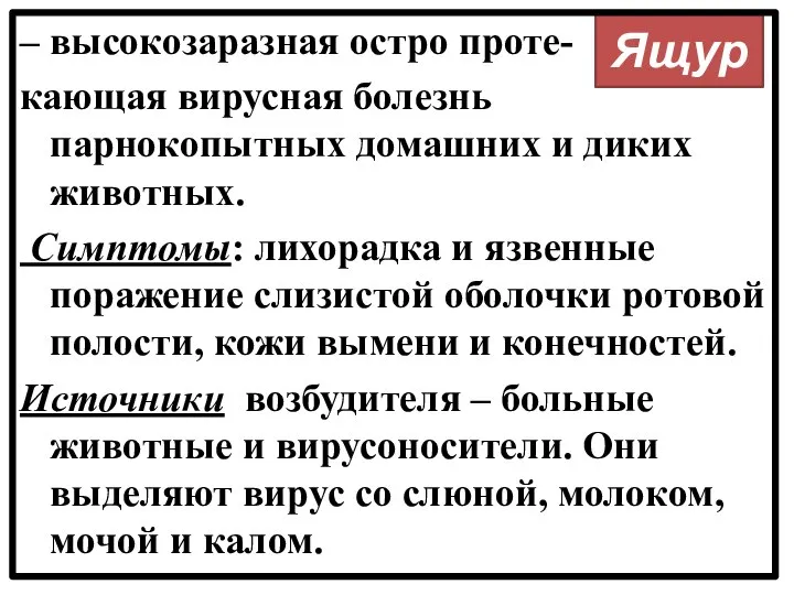 Ящур – высокозаразная остро проте- кающая вирусная болезнь парнокопытных домашних и диких