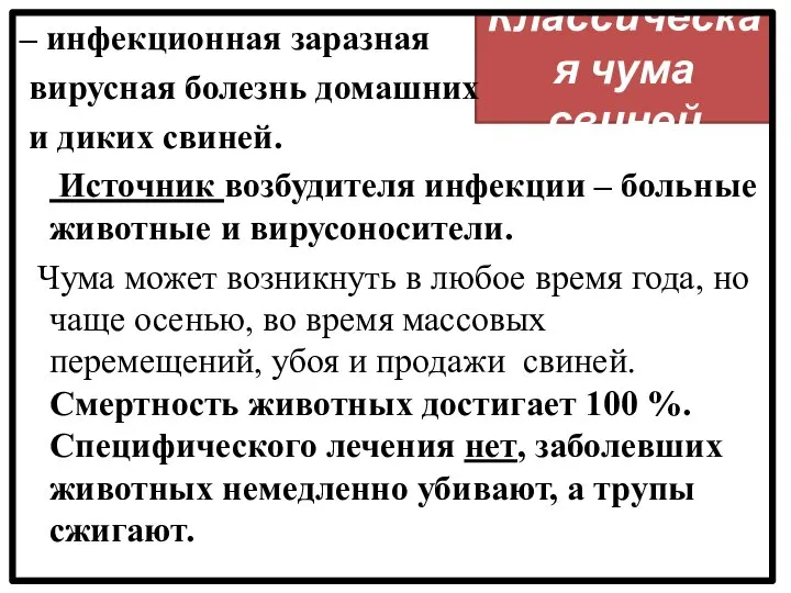 Классическая чума свиней – инфекционная заразная вирусная болезнь домашних и диких свиней.