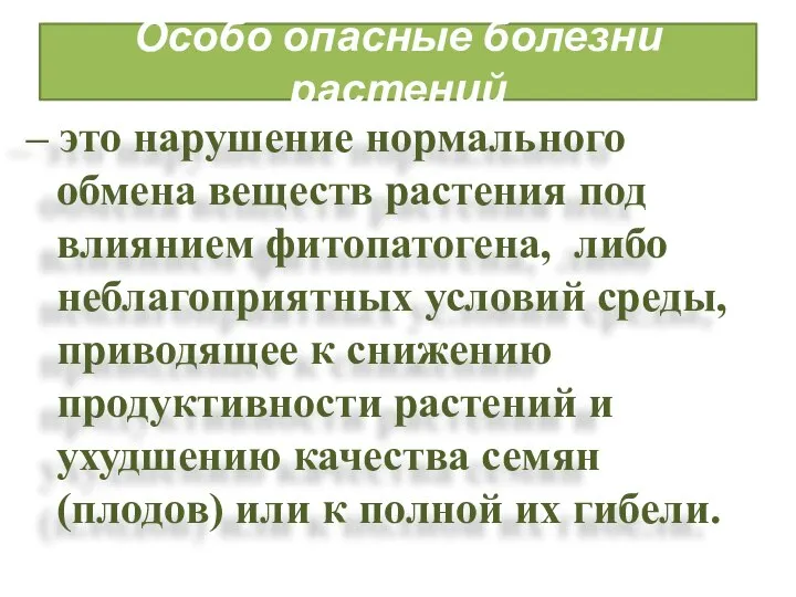 Особо опасные болезни растений – это нарушение нормального обмена веществ растения под