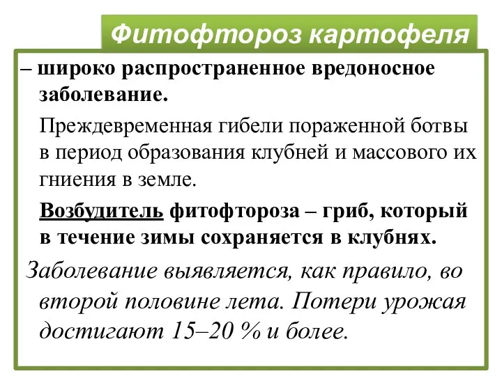 Фитофтороз картофеля – широко распространенное вредоносное заболевание. Преждевременная гибели пораженной ботвы в