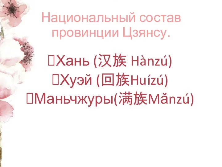 Национальный состав провинции Цзянсу. Хань (汉族 Hànzú) Хуэй (回族Huízú) Маньчжуры(满族Mǎnzú)