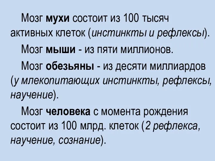 Мозг мухи состоит из 100 тысяч активных клеток (инстинкты и рефлексы). Мозг