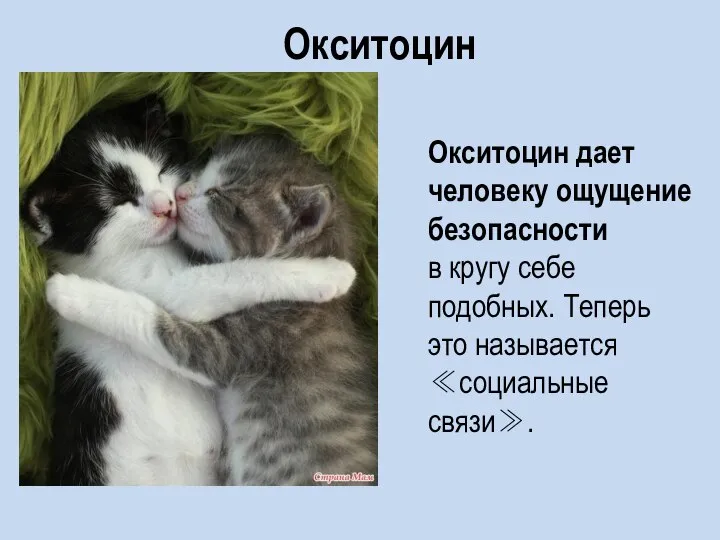 Окситоцин Окситоцин дает человеку ощущение безопасности в кругу себе подобных. Теперь это называется ≪социальные связи≫.