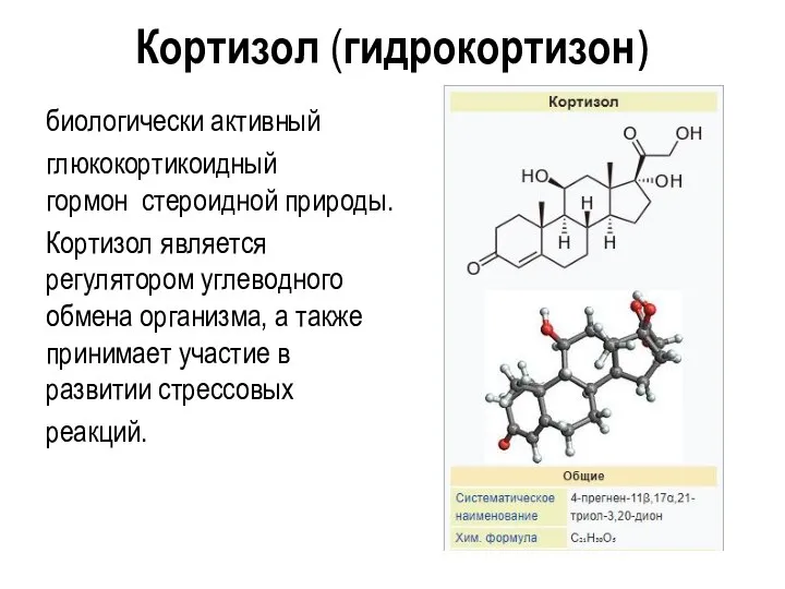 Кортизол (гидрокортизон) биологически активный глюкокортикоидный гормон стероидной природы. Кортизол является регулятором углеводного