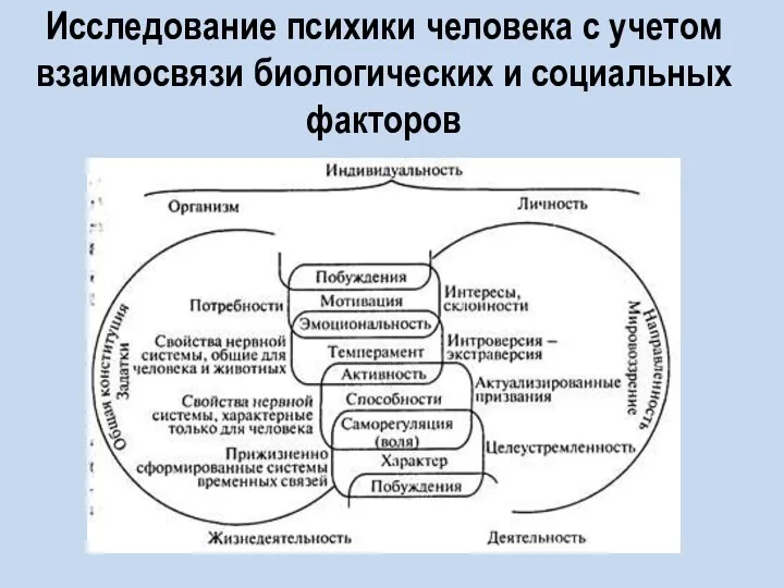 Исследование психики человека с учетом взаимосвязи биологических и социальных факторов