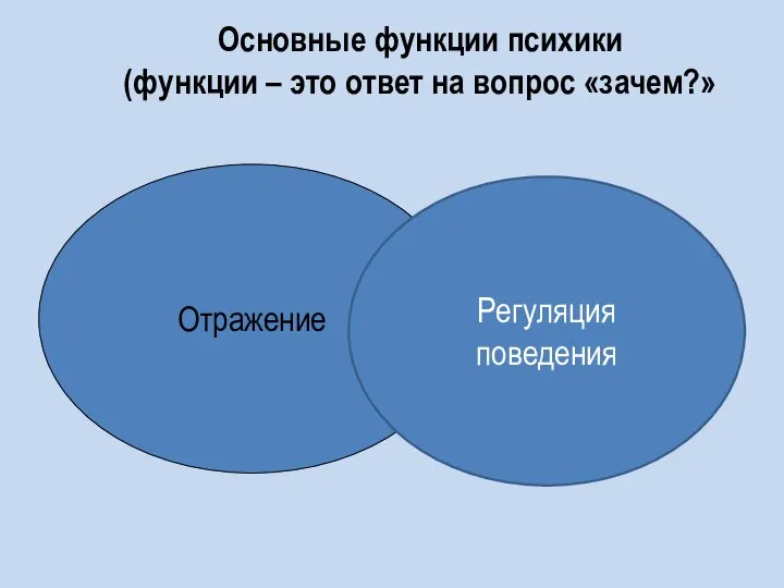 Основные функции психики (функции – это ответ на вопрос «зачем?» Отражение Регуляция поведения