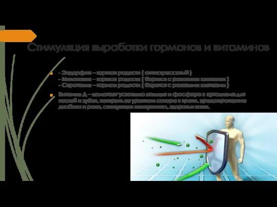 Стимуляция выработки гормонов и витаминов - Эндорфин – гормон радости ( антистрессовый