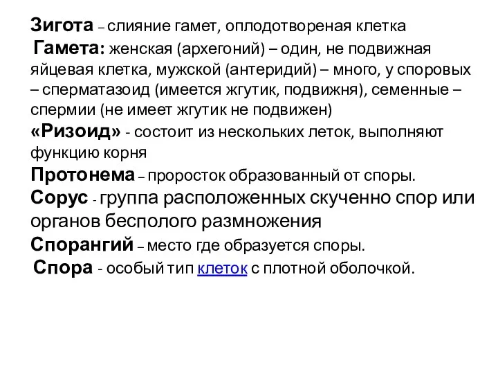 Зигота – слияние гамет, оплодотвореная клетка Гамета: женская (архегоний) – один, не