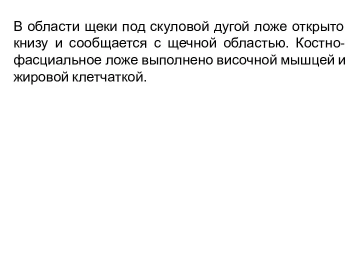 В области щеки под скуловой дугой ложе открыто книзу и сообщается с