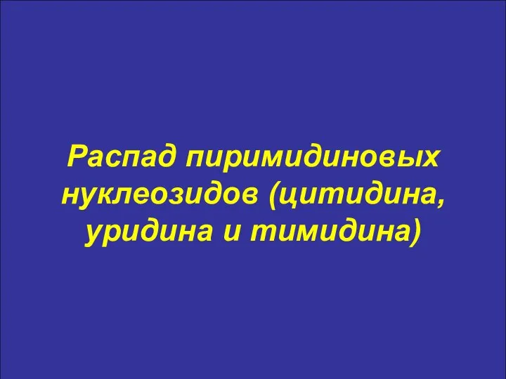 Распад пиримидиновых нуклеозидов (цитидина, уридина и тимидина)