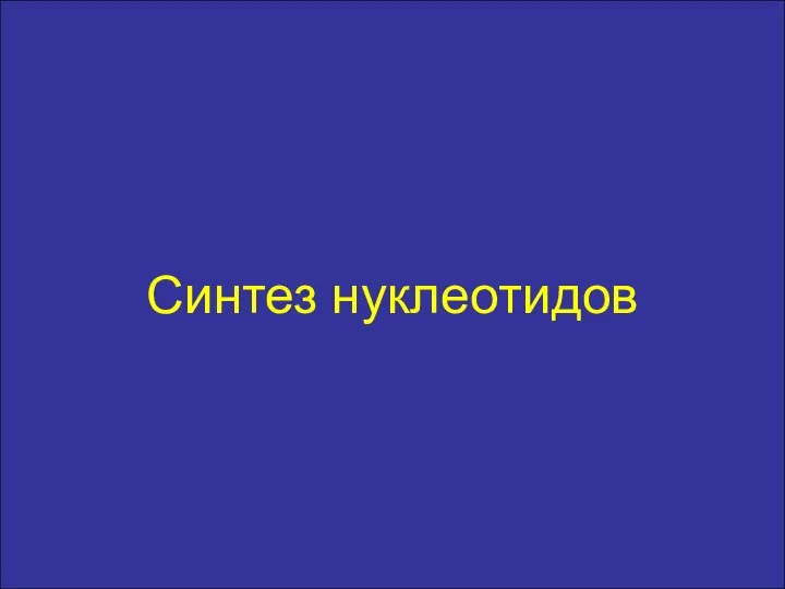 Синтез нуклеотидов