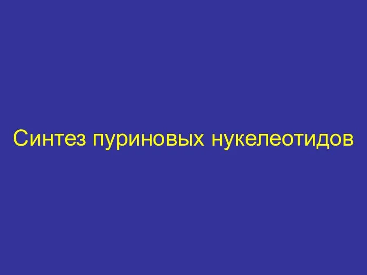 Синтез пуриновых нукелеотидов