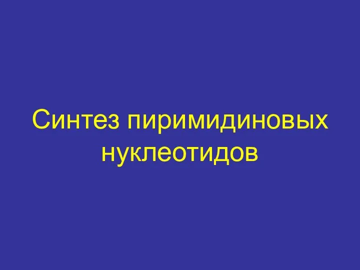 Синтез пиримидиновых нуклеотидов