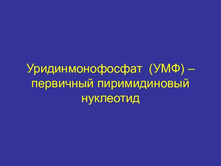 Уридинмонофосфат (УМФ) – первичный пиримидиновый нуклеотид