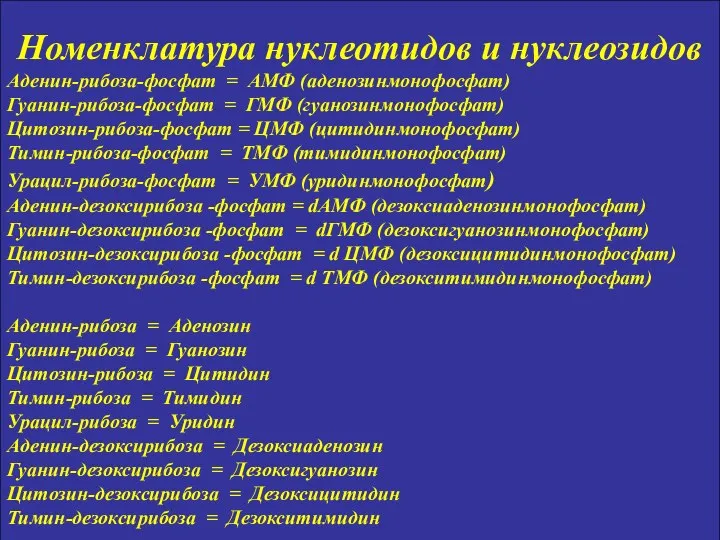 Номенклатура нуклеотидов и нуклеозидов Аденин-рибоза-фосфат = АМФ (аденозинмонофосфат) Гуанин-рибоза-фосфат = ГМФ (гуанозинмонофосфат)