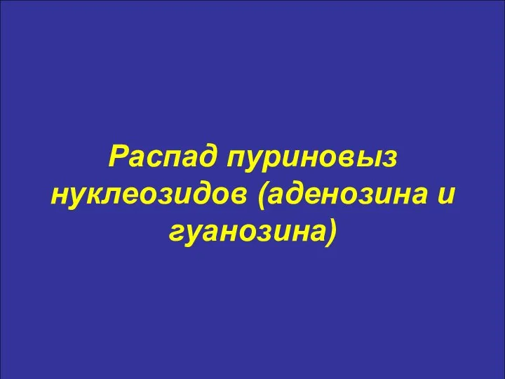 Распад пуриновыз нуклеозидов (аденозина и гуанозина)