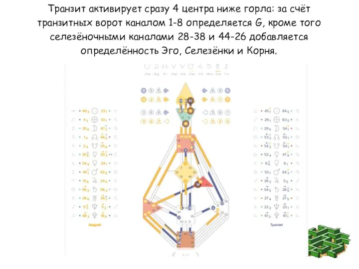 Транзит активирует сразу 4 центра ниже горла: за счёт транзитных ворот каналом