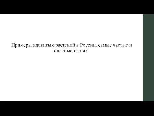 Примеры ядовитых растений в России, самые частые и опасные из них: