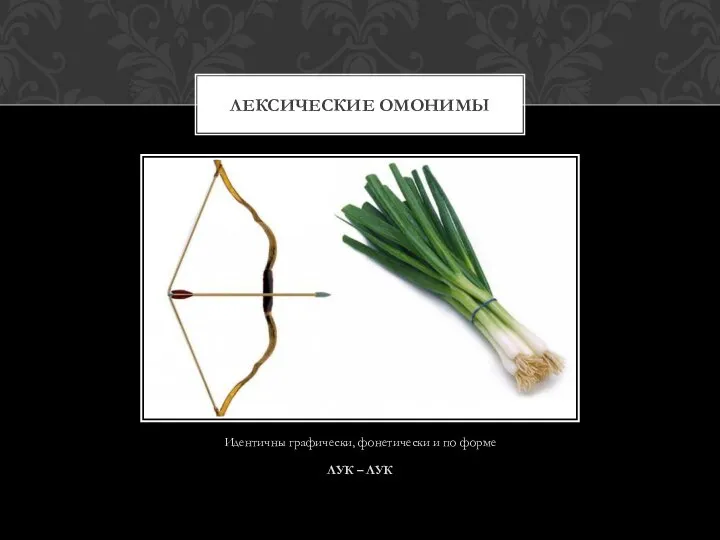Идентичны графически, фонетически и по форме ЛУК – ЛУК ЛЕКСИЧЕСКИЕ ОМОНИМЫ