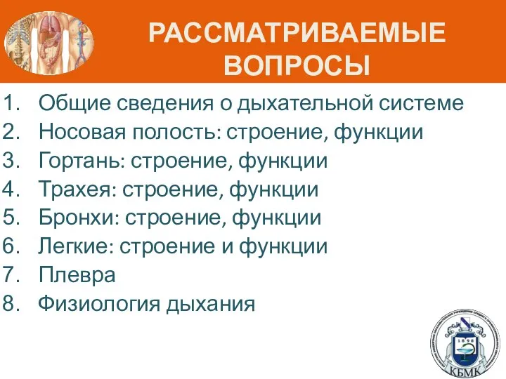 РАССМАТРИВАЕМЫЕ ВОПРОСЫ Общие сведения о дыхательной системе Носовая полость: строение, функции Гортань: