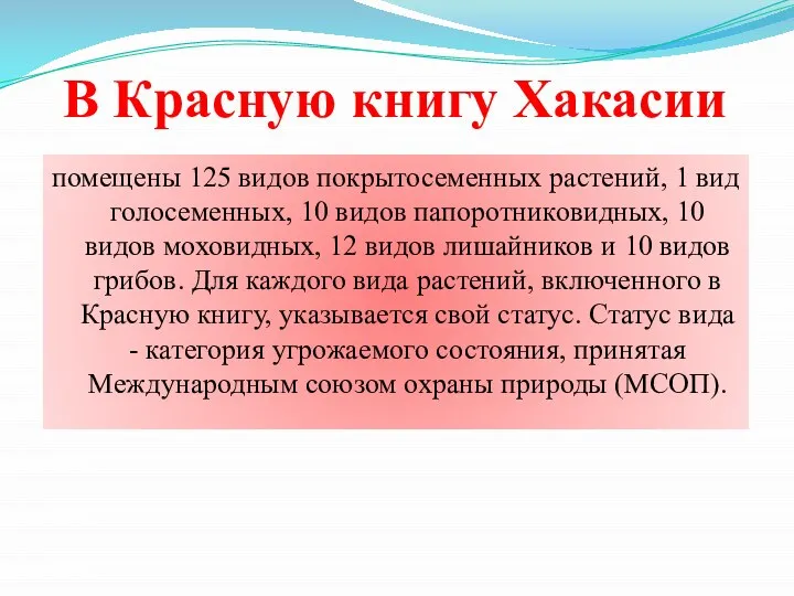 В Красную книгу Хакасии помещены 125 видов покрытосеменных растений, 1 вид голосеменных,